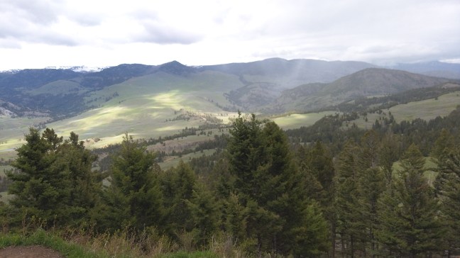 IMG_20180519_173513967[1]