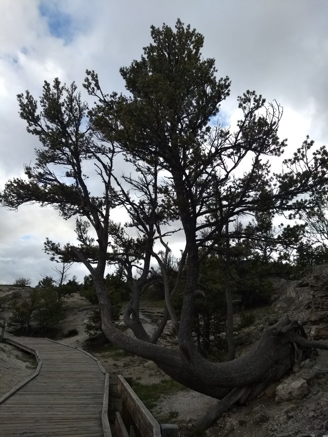 IMG_20180519_183215501_BURST000_COVER_TOP[1]