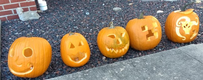 JackOLanternsFirstDay