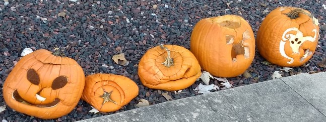 JackOLanternsLastDay