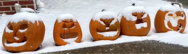 JackOLanternsNextDay